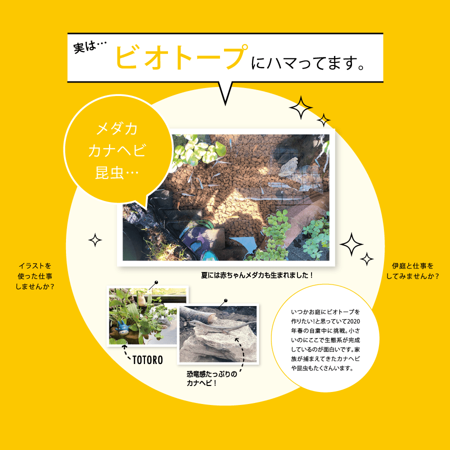 実は…ビオトープにハマってます。