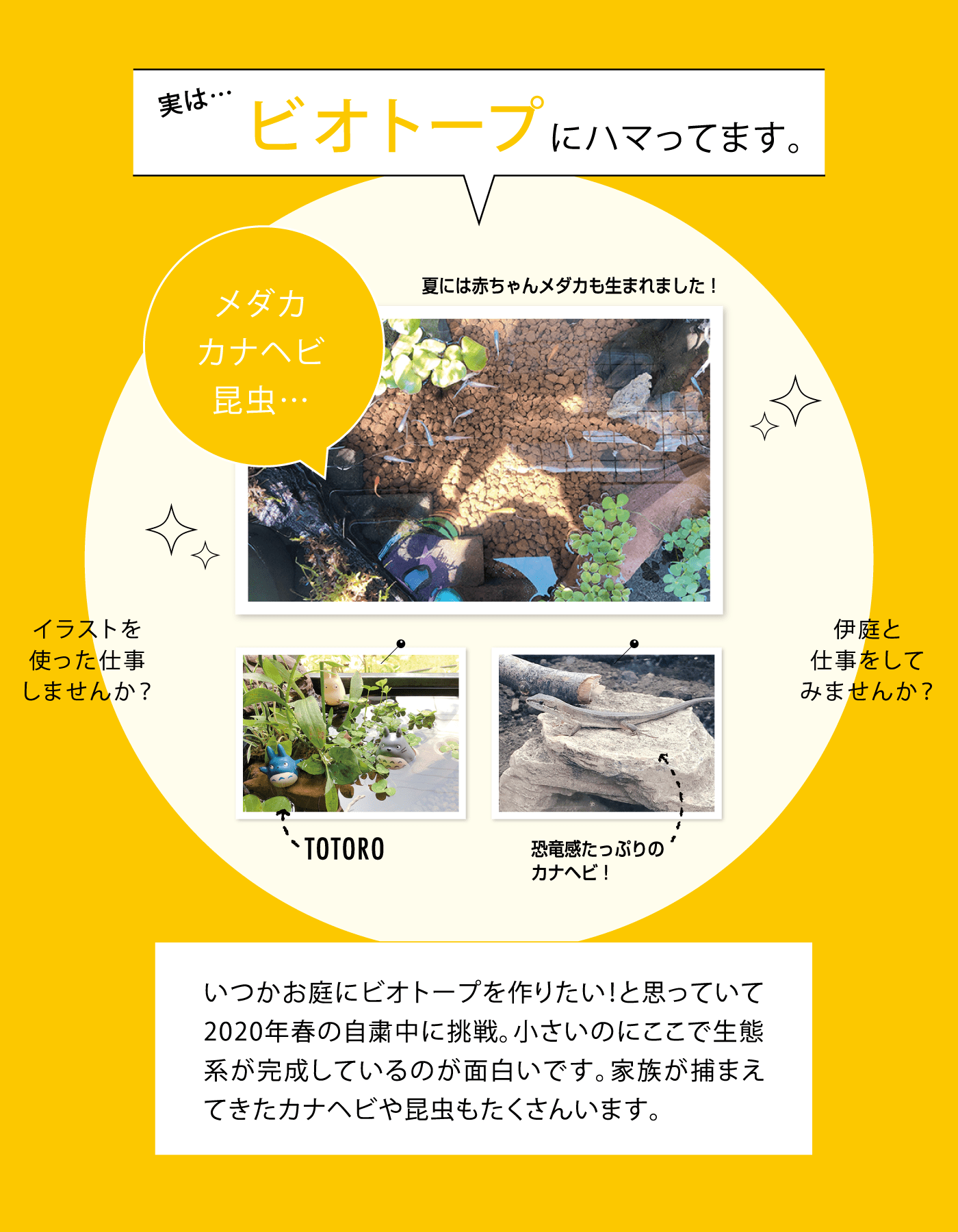 実は…ビオトープにハマってます。